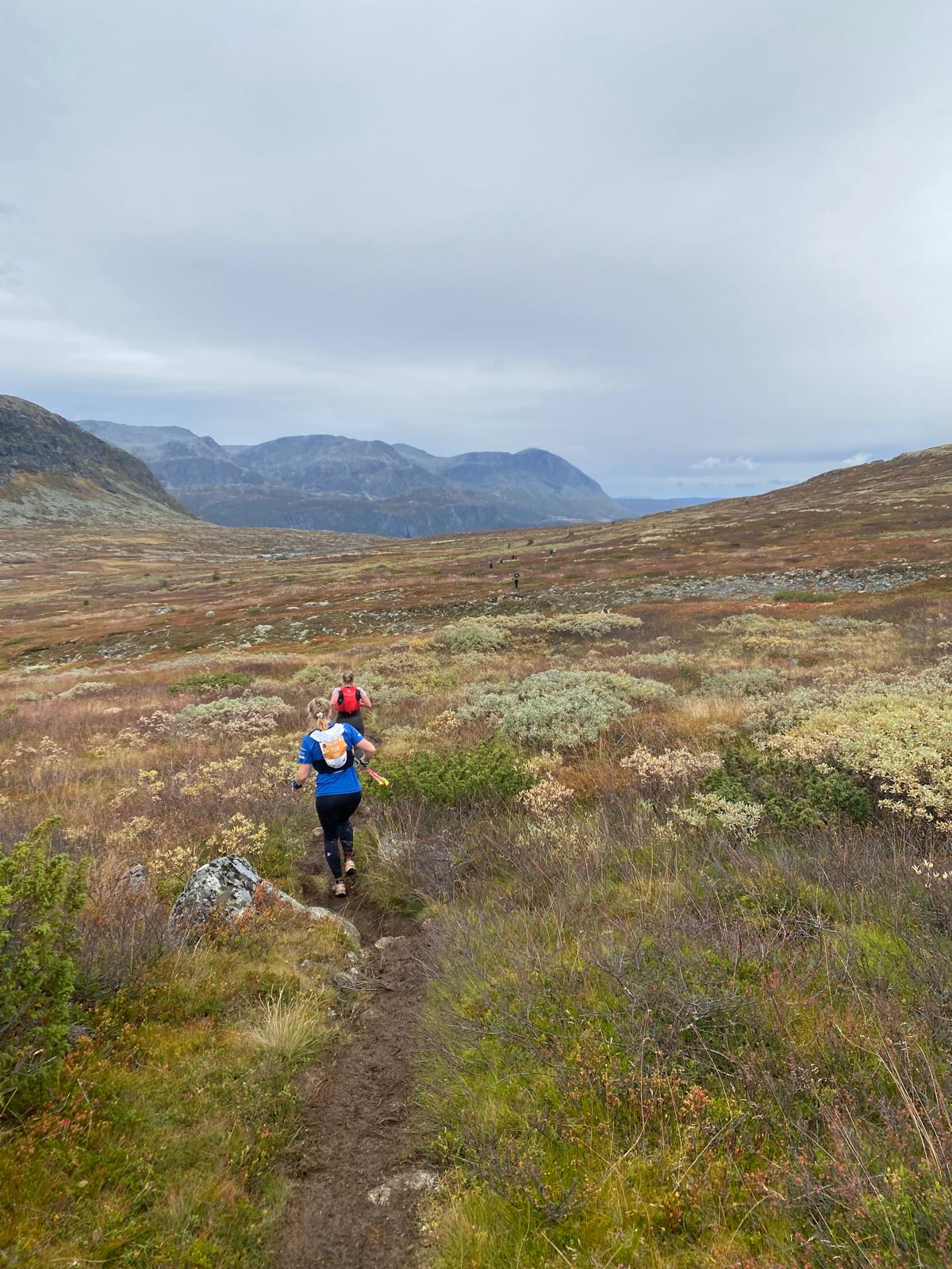 IMG-20260129-WA0009 (2)